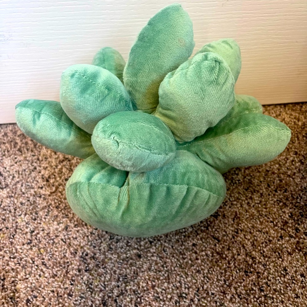 Decor succulent plush. Very soft